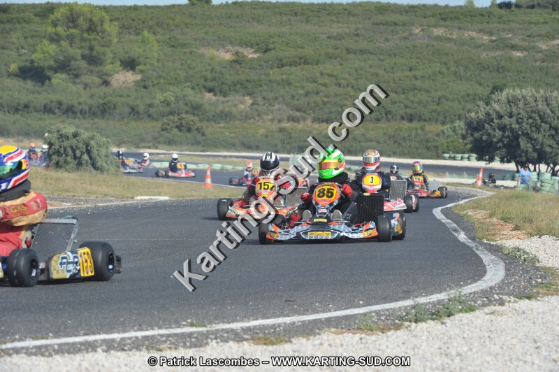 DSC (3928).JPG